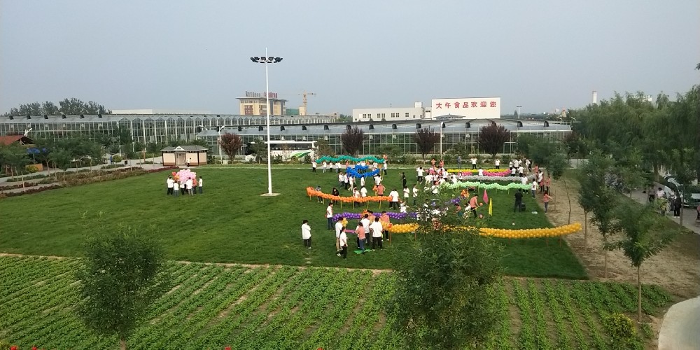 【大午科技園】河北美諾培訓 | 高空 南澳县地址oveiDαp口g、拓展、溫泉——基地介紹推薦